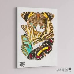"Artery8 Papillons Butterflies Vintage Canvas Wall Art Print Eugene Seguy - Size: W24"" x H32""" - thumbnail 2