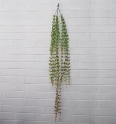 Leaf Pack of 12 x 120cm Artificial Hanging String of Pearls in Green - Size: 12 x 120 cm - thumbnail 2