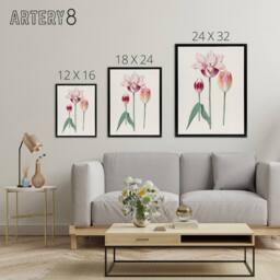 "Artery8 Blooming Tulip Flower Anselmus de Boodt Framed Canvas Wall Art Print in White - Size: W12"" x H16""" - thumbnail 4