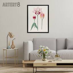 "Artery8 Blooming Tulip Flower Anselmus de Boodt Framed Canvas Wall Art Print in White - Size: W12"" x H16""" - thumbnail 3