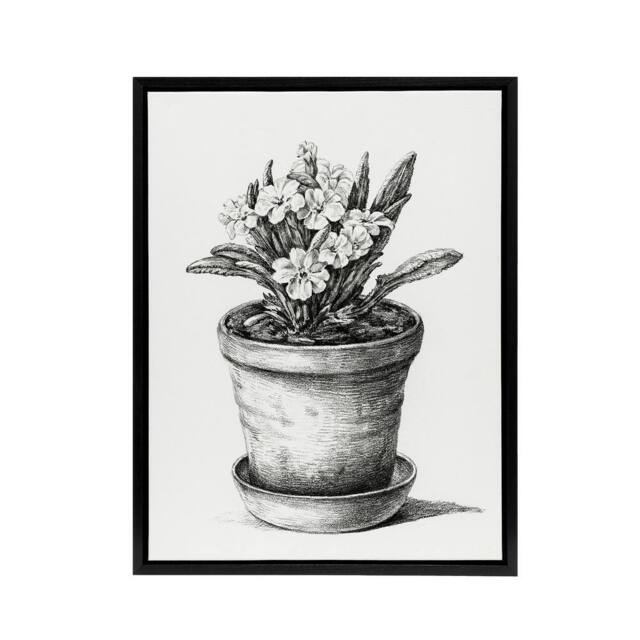 "Artery8 Potted Flowering Plant Pencil Drawing Bernard Framed Canvas Wall Art in White - Size: W12"" x H16""" - image 1