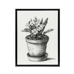 "Artery8 Potted Flowering Plant Pencil Drawing Bernard Framed Canvas Wall Art in White - Size: W12"" x H16""" - thumbnail 1