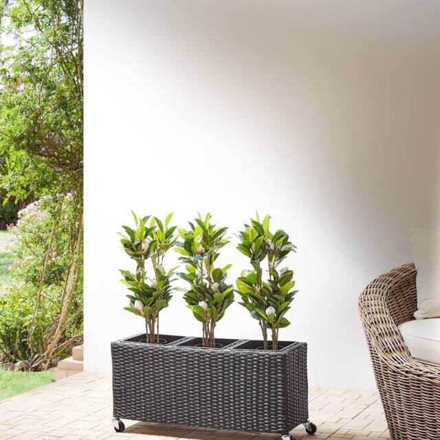Wyld and Coco Wheeled Plant Pot Black PE Rattan - 3 Removable Inserts - image 1
