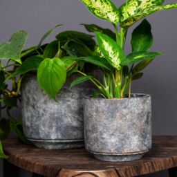Ivyline Tivoli Planter Earth, H25cm x D26cm in Mid Grey - thumbnail 5