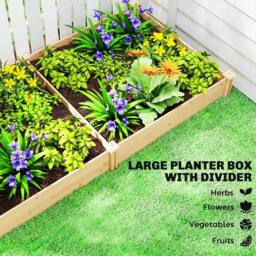 OUTSUNNY Raised Garden Bed, Wooden Planter Box with Divider & Open Bottom in Natural - thumbnail 4