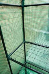 St Helens Walk-In Greenhouse in Green - thumbnail 4