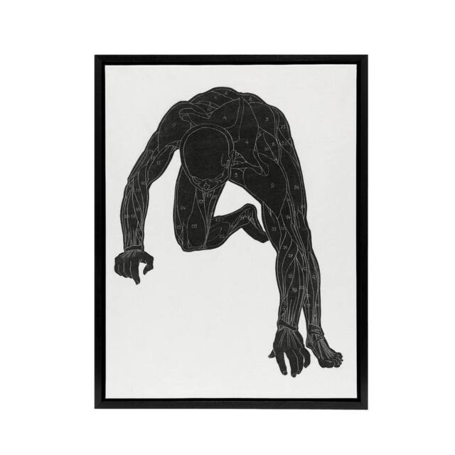 "Artery8 Man muscles Anatomical silhouette study Stolk Framed Canvas Wall Art in White - Size: W12"" x H16""" - image 1