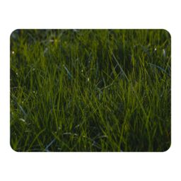 Benjamin Tate Design Fresh green grass background, natural grass Designer Blanket - Size: 120 cm x 150 cm - thumbnail 1