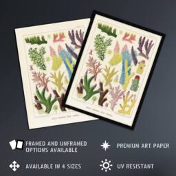"Artery8 Great Barrier Reef Corals Marine Life Kent Wall Art Poster Print in Beige - Size: W18"" x H24""" - thumbnail 2