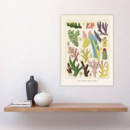"Artery8 Great Barrier Reef Corals Marine Life Kent Wall Art Poster Print in Beige - Size: W18"" x H24""" - thumbnail 4