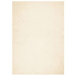 Berkfield Home Rug HUARTE Short Pile Soft & Washable Cream 160x230 cm - Size: Medium - thumbnail 2