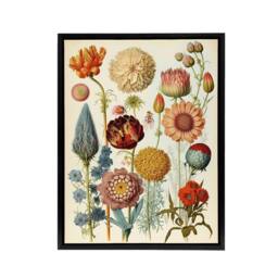 "Artery8 Vintage Botanical Flowers Haeckel Inspired Framed Canvas Wall Art Print - Size: W12"" x H16""" - thumbnail 1