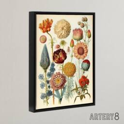 "Artery8 Vintage Botanical Flowers Haeckel Inspired Framed Canvas Wall Art Print - Size: W12"" x H16""" - thumbnail 2