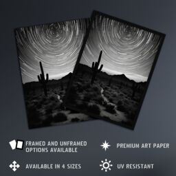 Artery8 Time Lapse Night Sky Star Trails Across The Night Sky Black White Desert Cactus Large Wall Unframed Art Poster Print Thick Paper 18X24 Inch - thumbnail 2