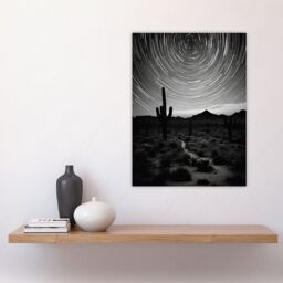 Artery8 Time Lapse Night Sky Star Trails Across The Night Sky Black White Desert Cactus Large Wall Unframed Art Poster Print Thick Paper 18X24 Inch - thumbnail 4
