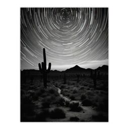 Artery8 Time Lapse Night Sky Star Trails Across The Night Sky Black White Desert Cactus Large Wall Unframed Art Poster Print Thick Paper 18X24 Inch - thumbnail 1