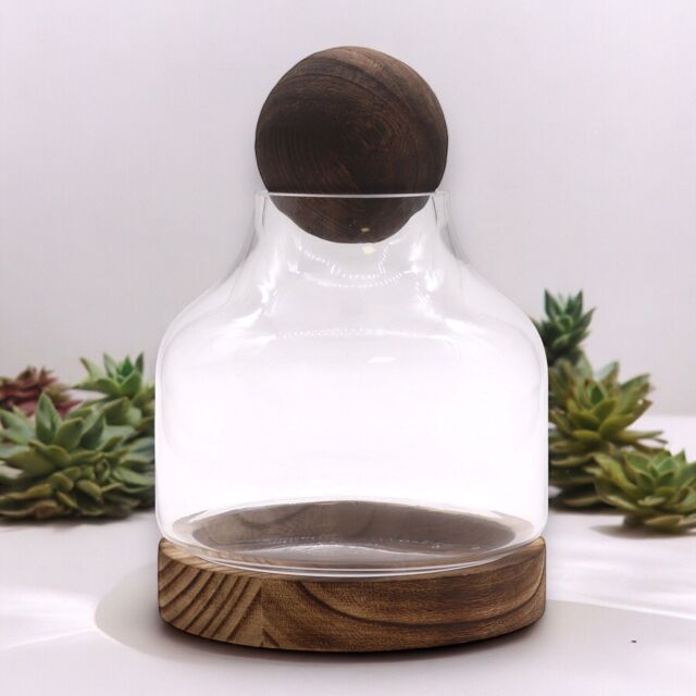 KDMD Medium Ball Top Terarium on Dark Tung Wood in Brown - image 1