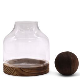 KDMD Medium Ball Top Terarium on Dark Tung Wood in Brown - thumbnail 4