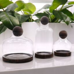 KDMD Medium Ball Top Terarium on Dark Tung Wood in Brown - thumbnail 3