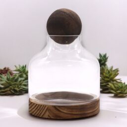KDMD Medium Ball Top Terarium on Dark Tung Wood in Brown - thumbnail 1