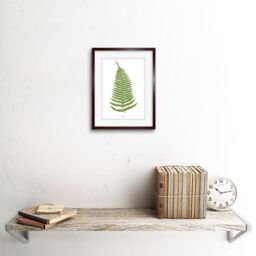 "Artery8 Wall Art Print Fern Polypodium Catharinae Art Framed 9x7 inch in Brown - Size: W7"" x H9""" - thumbnail 2