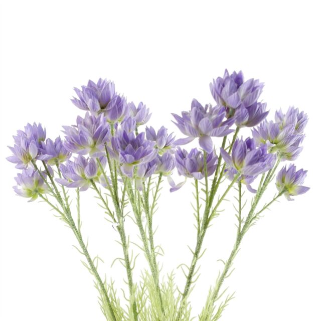 Leaf Pack of 6 x 60cm Purple Starflower Stem - 30 Flowers - Size: 6 x 60 cm - image 1