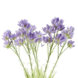 Leaf Pack of 6 x 60cm Artificial Purple Starflower Stem 30 Flowers - Size: 6 x 60 cm