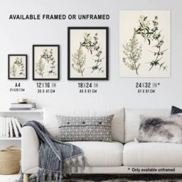 "Artery8 New Zealand Pomaderris Edgerleyi Plant Featon Framed Wall Art Print in Beige - Size: W12"" x H16""" - thumbnail 3