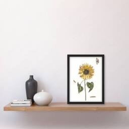 Artery8 Sunflower Caterpillar & Two Butterflies Teyler Framed Wall Art Print in White - Size: A4 - thumbnail 2