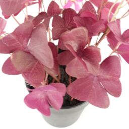 Leaf 30cm Artificial Plant Realistic Purple Shamrock Pink Flowers Potted in Green - thumbnail 2