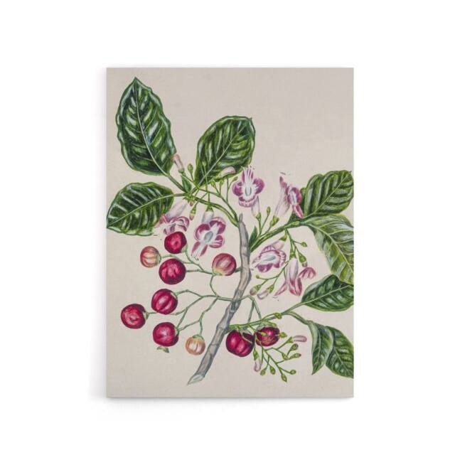 "Artery8 New Zealand Puriri Vitex Lucens Flowers Featon Canvas Wall Art Print in Beige - Size: W12"" x H16""" - image 1