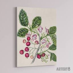 "Artery8 New Zealand Puriri Vitex Lucens Flowers Featon Canvas Wall Art Print in Beige - Size: W12"" x H16""" - thumbnail 2