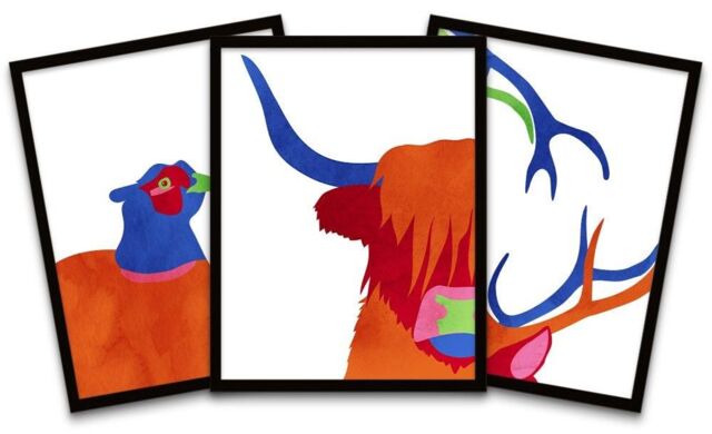"Wee Blue Coo Wall Art Print Bright Colourful Scottish Highland Wildlife Framed Poster Pack of 3 - Size: W12"" x H16""" - image 1