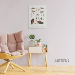 "Artery8 Snail shell Marine Life Ocean Augustus Gould Canvas Wall Art Print in White - Size: W12"" x H16""" - thumbnail 3