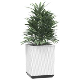Berkfield Home Planters 4 pcs White 30x30x37 cm Polypropylene - Size: 30 x 30 x 37 cm - thumbnail 3