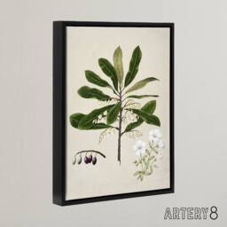 "Artery8 New Zealand Rauhuia & Hinau Flowers Featon Framed Canvas Wall Art in Beige - Size: W12"" x H16""" - thumbnail 2