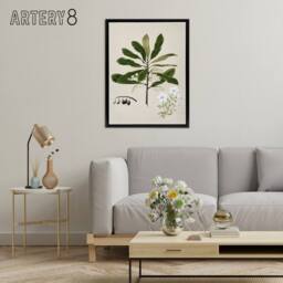 "Artery8 New Zealand Rauhuia & Hinau Flowers Featon Framed Canvas Wall Art in Beige - Size: W12"" x H16""" - thumbnail 3