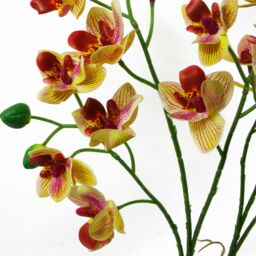 Leaf 43cm Large Pink Yellow Artificial Orchid in Ceramic Planter - thumbnail 2