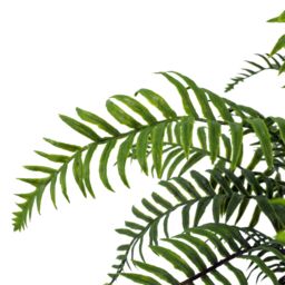 Leaf Artificial Fern Plant Realistic 50cm Artificial Boston Fronded Fern Plant Botanik in Green - thumbnail 6