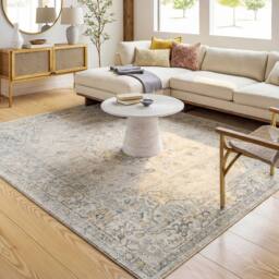 Livabliss Avellino-Vintage Grey Beige Blue Traditional Boho High Pile Living Rug - Size: 200 cm x 280 cm - thumbnail 8