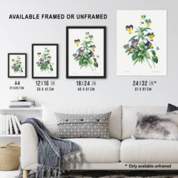 "Artery8 Wild Pansy Flower Illustration Redoute Vintage Wall Art Print Poster in White - Size: W12"" x H16""" - thumbnail 3
