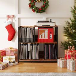 SPETLEK Vinyl Display Rack 3 Removable Dividers-Brown in Brown - Size: 0.6m2
