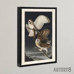 "Artery8 Birds of America Barn Owl Audubon Nature Black Framed Canvas Wall Art in Grey - Size: W12"" x H16""" - thumbnail 2
