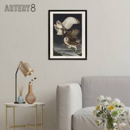 "Artery8 Birds of America Barn Owl Audubon Nature Black Framed Canvas Wall Art in Grey - Size: W12"" x H16""" - thumbnail 3