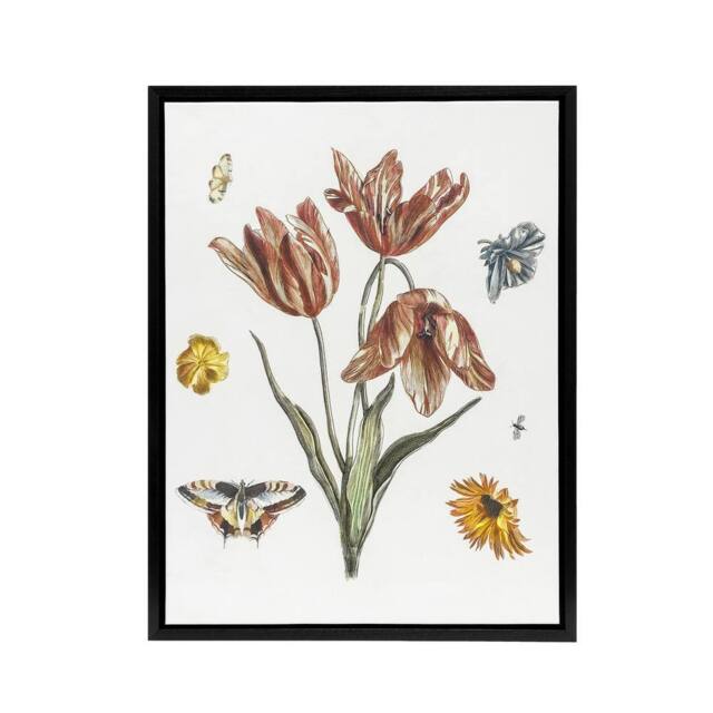 "Artery8 Flowers Butterflies & A Fly Johan Teyler Black Framed Canvas Art in White - Size: W12"" x H16""" - image 1