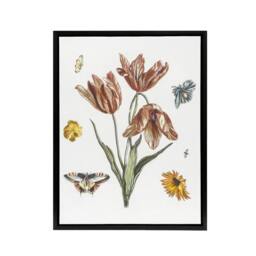 "Artery8 Flowers Butterflies & A Fly Johan Teyler Black Framed Canvas Art in White - Size: W12"" x H16""" - thumbnail 1