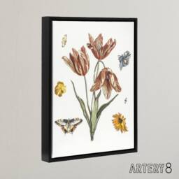 "Artery8 Flowers Butterflies & A Fly Johan Teyler Black Framed Canvas Art in White - Size: W12"" x H16""" - thumbnail 2