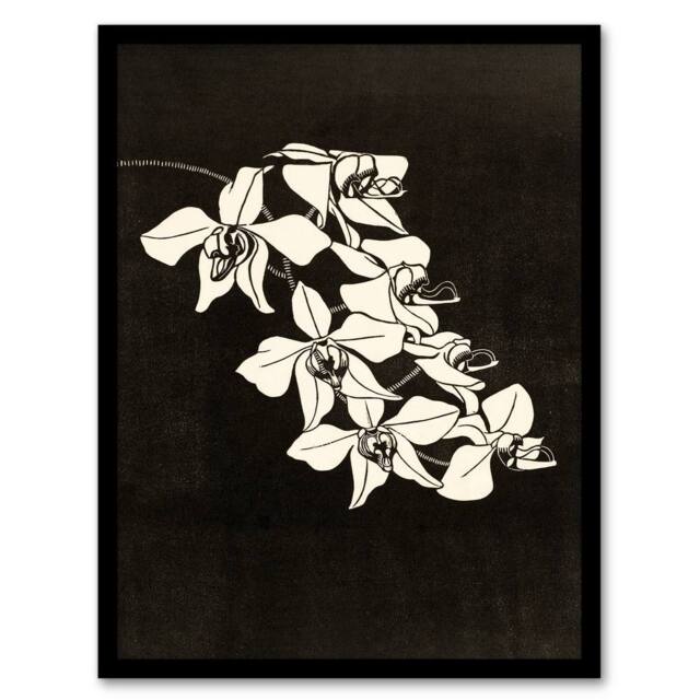 Artery8 Samuel J De Mesquita Framed Wall Art Black & White Orchid Flower - Size: A4 - image 1
