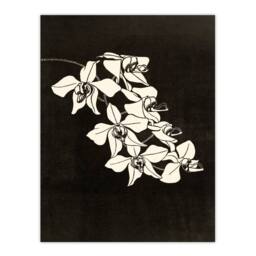 Artery8 Samuel J De Mesquita Framed Wall Art Black & White Orchid Flower - Size: A4 - thumbnail 3