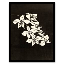 Artery8 Samuel J De Mesquita Framed Wall Art Black & White Orchid Flower - Size: A4 - thumbnail 1